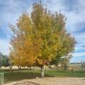 4106 67 N - Photo 79