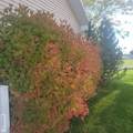 4106 67 N - Photo 81