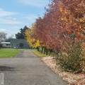 4106 67 N - Photo 82