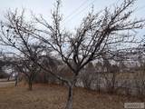 1077 1300 N - Photo 40
