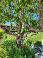 495 Fairway Drive - Photo 92