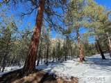 2811 Hwy 93 - Photo 18