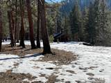 2811 Hwy 93 - Photo 21
