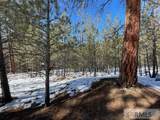 2811 Hwy 93 - Photo 30