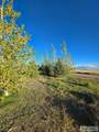 5566 49th N - Photo 80
