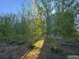 5566 49th N - Photo 81