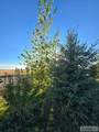 5566 49th N - Photo 82