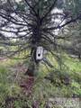53 Squaw Creek Road - Photo 40