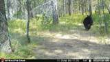 3870 Coho Drive - Photo 61