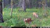 3870 Coho Drive - Photo 65