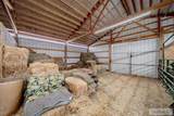 24 100 N - Photo 59