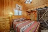3812 Great Grey Owl - Photo 13
