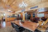 3812 Great Grey Owl - Photo 7