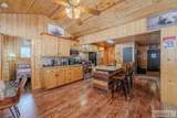 3812 Great Grey Owl - Photo 9