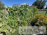 3843 446 N - Photo 95