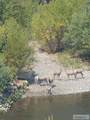 1874 Hwy 93 - Photo 35