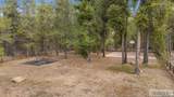 1660 Shadow Loop South - Photo 33