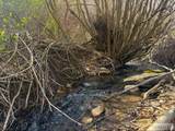 TBD Walker Creek Road - Photo 10