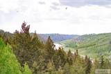 1528 Hwy 47 - Photo 90