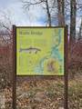 24 Pickett Loop - Photo 82