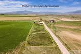 19994 Olson Rd - Photo 34