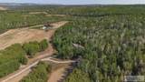 10468 Rig Ranch Road - Photo 77