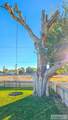 210 Salmon Avenue - Photo 47