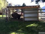 71 Chinook Drive - Photo 12