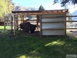 71 Chinook Drive - Photo 13