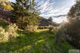 37 Canyon View Road - Photo 66