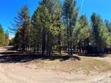 4066 Yale Creek Road - Photo 2