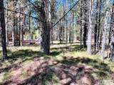 4066 Yale Creek Road - Photo 9