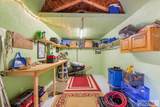 4010 Coyote Road - Photo 51