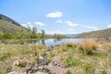 451 Peterson Creek Road - Photo 22