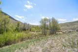 451 Peterson Creek Road - Photo 31