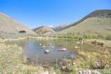 451 Peterson Creek Road - Photo 34