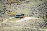 451 Peterson Creek Road - Photo 49