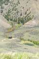 451 Peterson Creek Road - Photo 51