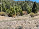 3591 Panther Creek Road - Photo 42