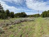 3423 Oakwood Drive - Photo 4