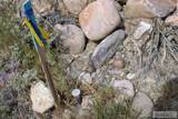 000 Highway 93 - Photo 24