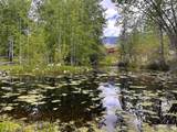 504 Carmen Creek Road - Photo 44