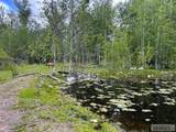 504 Carmen Creek Road - Photo 45
