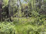 504 Carmen Creek Road - Photo 47