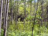 504 Carmen Creek Road - Photo 48