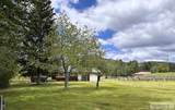 504 Carmen Creek Road - Photo 5