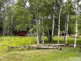 504 Carmen Creek Road - Photo 54