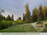 4383 Granite Ridge North - Photo 55