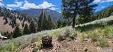 14 Elk Summit Way - Photo 5