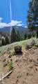 14 Elk Summit Way - Photo 8
